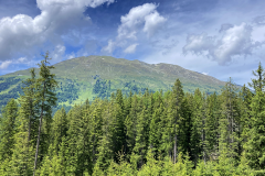 Aifner_2762