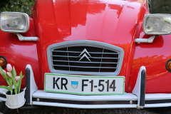 IMGL7328