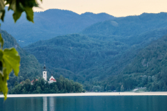 IMGL7381
