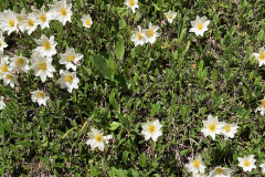Ehrwald_2577