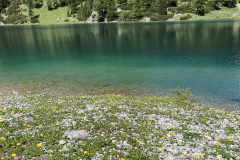 Ehrwald_2610