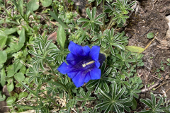 Ehrwald_2656