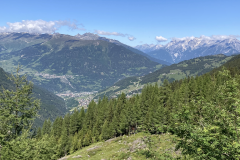 Gallruth