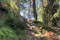 Gallruth38
