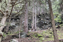 Gogles_2845