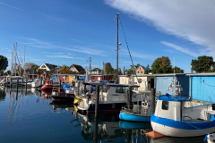 PHOTO-2021-10-05-06-14-03