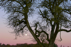 Abend-28