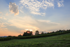 Weinberg2