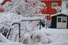 Winter_201119