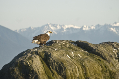 1_Kanada20170706_0192