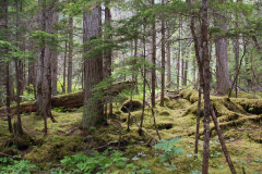 Kanada20170712_0417