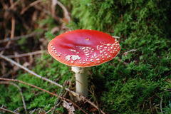 DSC_0014.JPG