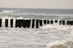DSC_0306.JPG