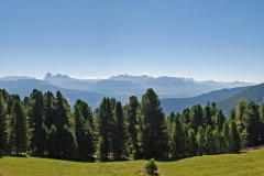Panorama_4