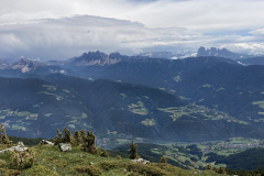Radlsee11