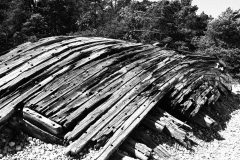 SCHW1967