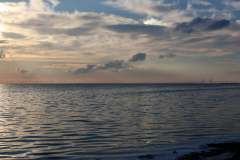 WEB_10