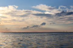 WEB_9