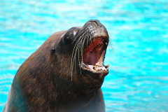 DSC_0157.JPG