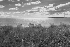 IMGL8653_SW